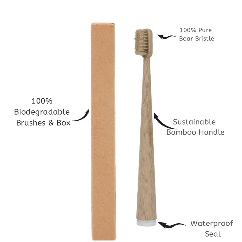 BASED Boar Bristle & Bamboo Toothbrush (4 Pack)