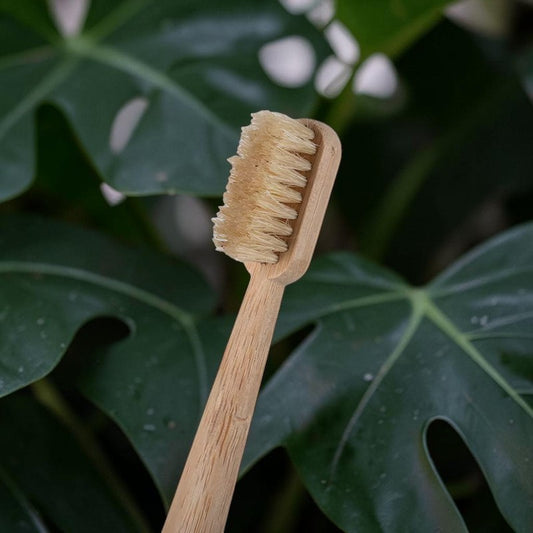 BASED Boar Bristle & Bamboo Toothbrush (4 Pack)