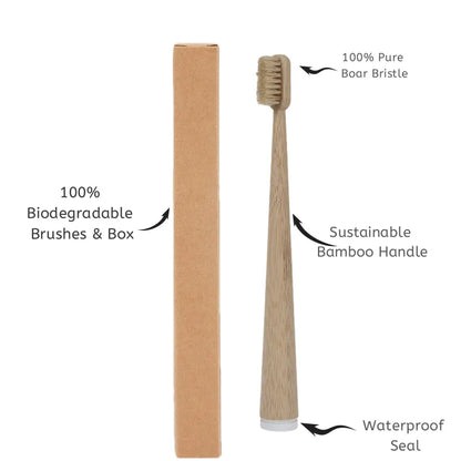 BASED Boar Bristle & Bamboo Toothbrush (4 Pack)