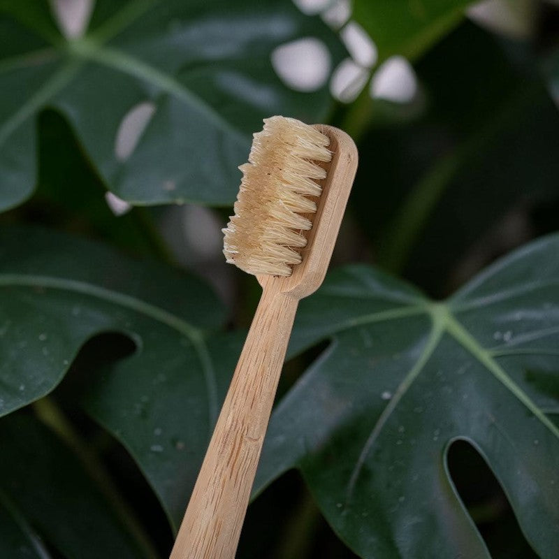 BASED Boar Bristle & Bamboo Toothbrush (4 Pack)