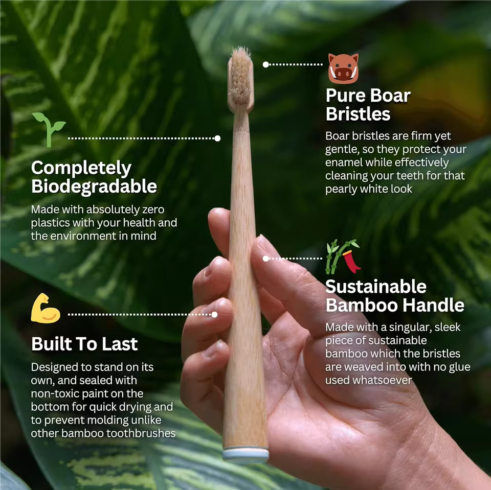 BASED Boar Bristle & Bamboo Toothbrush (4 Pack)