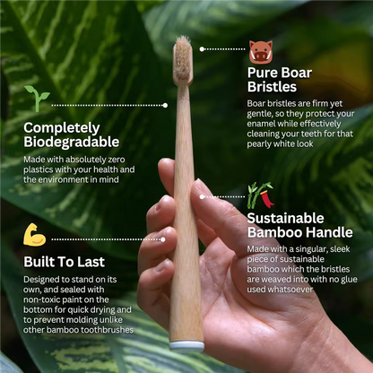 BASED Boar Bristle & Bamboo Toothbrush (4 Pack)